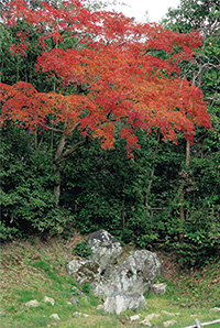 名古曽の滝跡