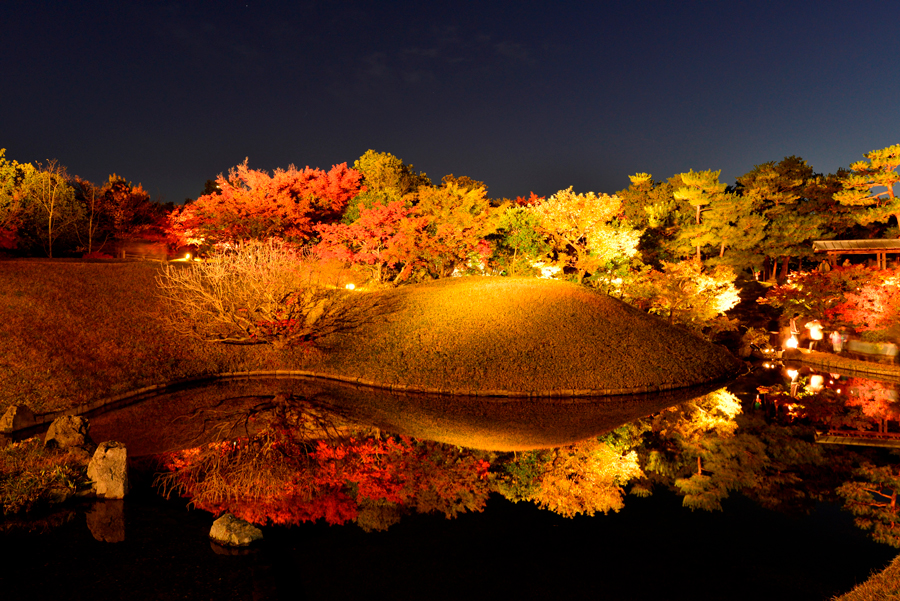11 13 金 29 日 は 梅小路公園 朱雀の庭 紅葉まつり リビング京都