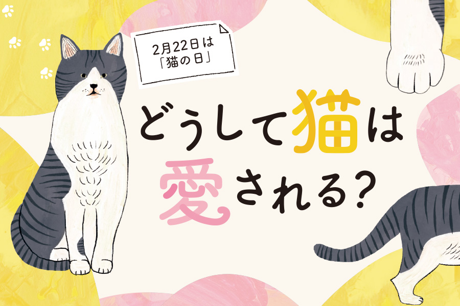どうして猫は愛される リビング京都 京都を楽しむ 生活情報サイト