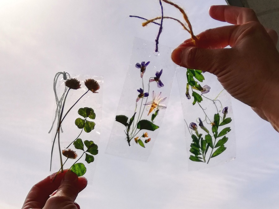 野の花で作る透明しおり リビング京都